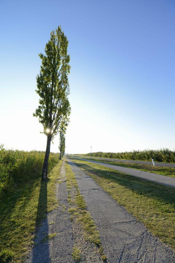 Ferienwohnungen Karoly Mörbisch am See Exteriér fotografie